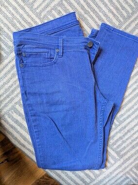 Vintage Roxy Blue pants